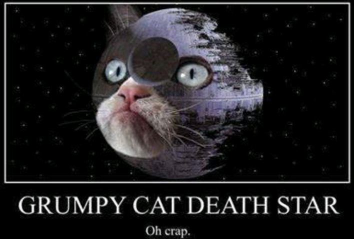 grumpy cat star wars